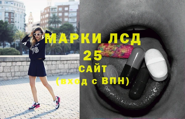 стафф Ельня