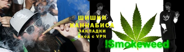 стаф Елабуга