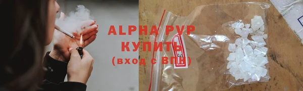 стаф Елабуга