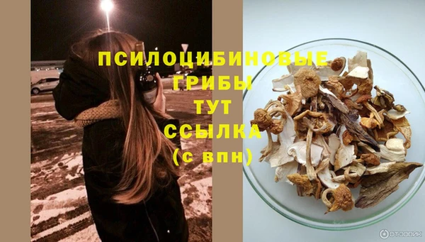 меф VHQ Дмитриев