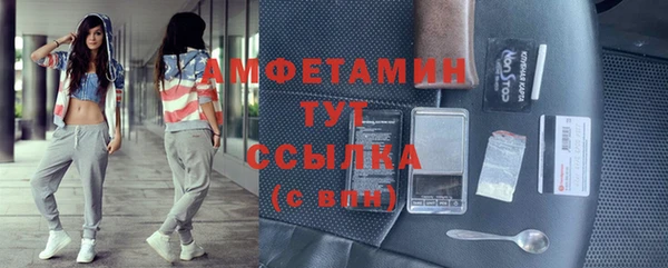 стафф Ельня