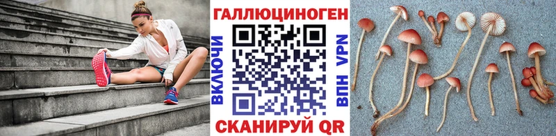 Купить  Магадан  Галлюциногенные грибы ЛСД 